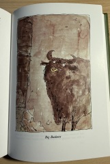 My year with Stella...