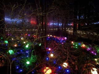 Come and tell us your dull and unexciting news 34: Calmly through the day