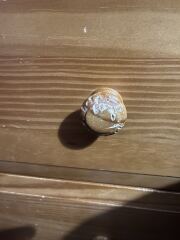 Cat chewing drawer handles