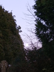 The Nigel Slater Christmas Chronicles Readalong 2025 - Part 3