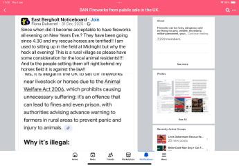 To not get the problem with fireworks and pets