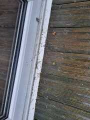 Window cleaner and patio door ledges