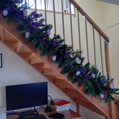 To think my house looks empty and boring now that the decs are down and I have a sudden urge to buy a lot of house stuff?