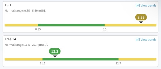 Possible Hoshimoto’s (according to Google)