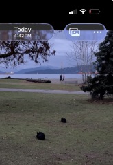 Come and tell us your dull and unexciting news 34: Calmly through the day