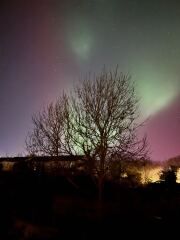 Northern Lights!