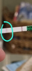 Positive result or dye pool?
