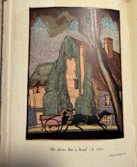 My year with Stella...