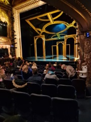 The Bluestocking Boxing Day sale: 1 gerbil for the price of 2