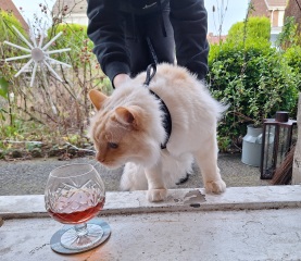 The Nigel Slater Christmas Chronicles Readalong 2025 - Part 3