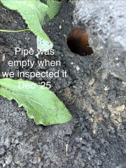 Drain pipe/ Sewer clean out