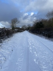 The Nigel Slater Christmas Chronicles Readalong 2025 - Part 3