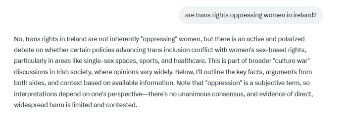 The Countess - Womens rights group in Ireland - Report on Immigration Effects on Women & Girls