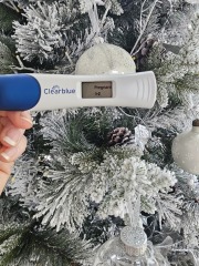 Due September 2026 🐣💖🙏🤞