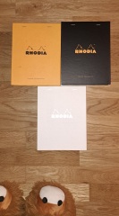 The Bluestocking Boxing Day sale: 1 gerbil for the price of 2