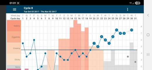 Natural Family Planning as Contraception- Thoughts?