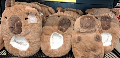 The Bluestocking Boxing Day sale: 1 gerbil for the price of 2