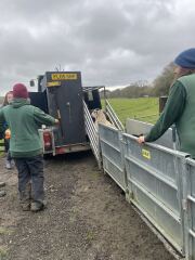 The Nigel Slater Christmas Chronicles Readalong 2025/6 Part 4