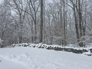 Come and tell us your dull and unexciting news 35: Calmly through the day