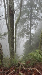 Come and tell us your dull and unexciting news 34: Calmly through the day