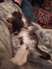 May 2025 Starters Thread 7 - Ending the year as we mean to go on ✌️