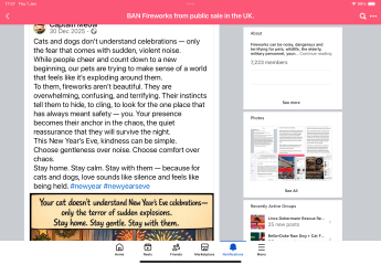 To not get the problem with fireworks and pets