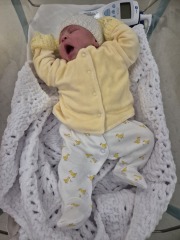 Due January 2026 - Thread 4