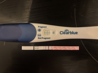 Due September 2026 🐣💖🙏🤞