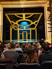 The Bluestocking Boxing Day sale: 1 gerbil for the price of 2