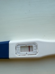 Positive or evaporation line?