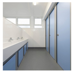 Womens toilet with cubicles in the workplace