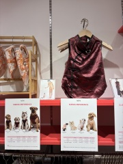 Thread 19 - TalkLair: "The light that burns twice as bright burns half as long"