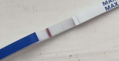 Pregnancy test