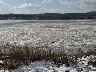 Come and tell us your dull and unexciting news 35: Calmly through the day