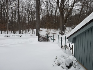 Come and tell us your dull and unexciting news 35: Calmly through the day