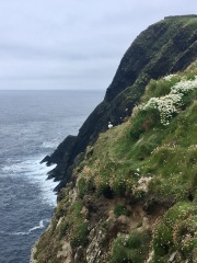 The Bluestocking - your local women's pub, warm, friendly, and not at all unusual in any way.