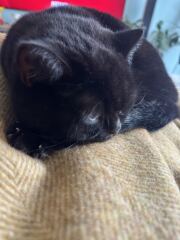 What are you up to today if you have a chronic illness? Thread 5