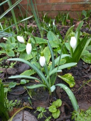 What are you up to today if you have a chronic illness? Thread 5