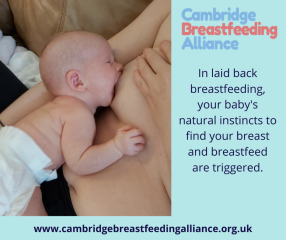 BREAST MILK SUPPLY STRUGGLE