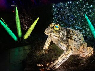 Year round Nigel Slater discussion thread - Part 3