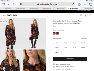 Help me find a dress for important work event!