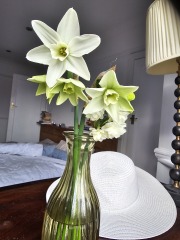 Spring has sprung. Bulb watch