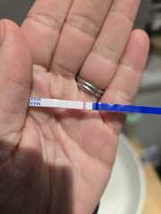 3 BFP or 3 EVAPs?