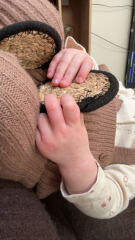 Baby 16 months….allergies,please help