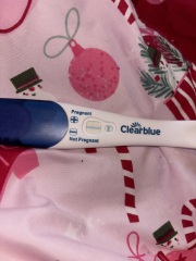 Pregnancy test