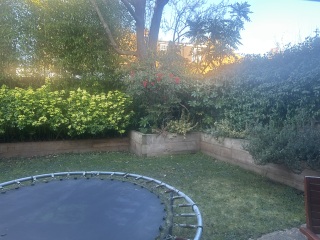 To work in the garden (SAD)