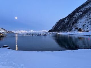 Here we go again...Countdown to Christmas 2026 (Thread 1)