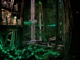 Daily Project round 8