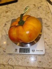 What tomatoes do you grow?