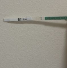 Does this seem positive?